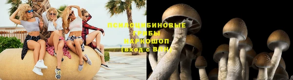 стафф Белокуриха