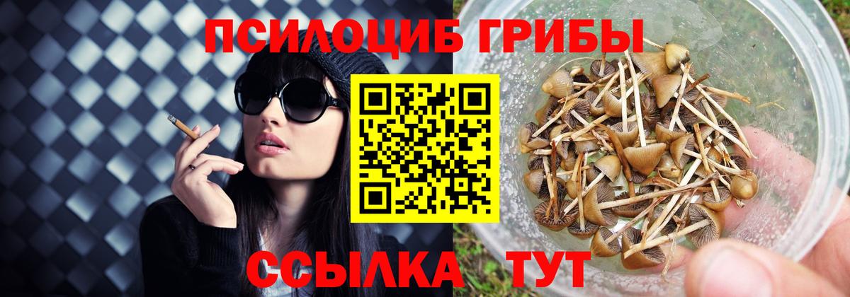 Галлюциногенные грибы Cubensis  Вход с VPN  Славгород 