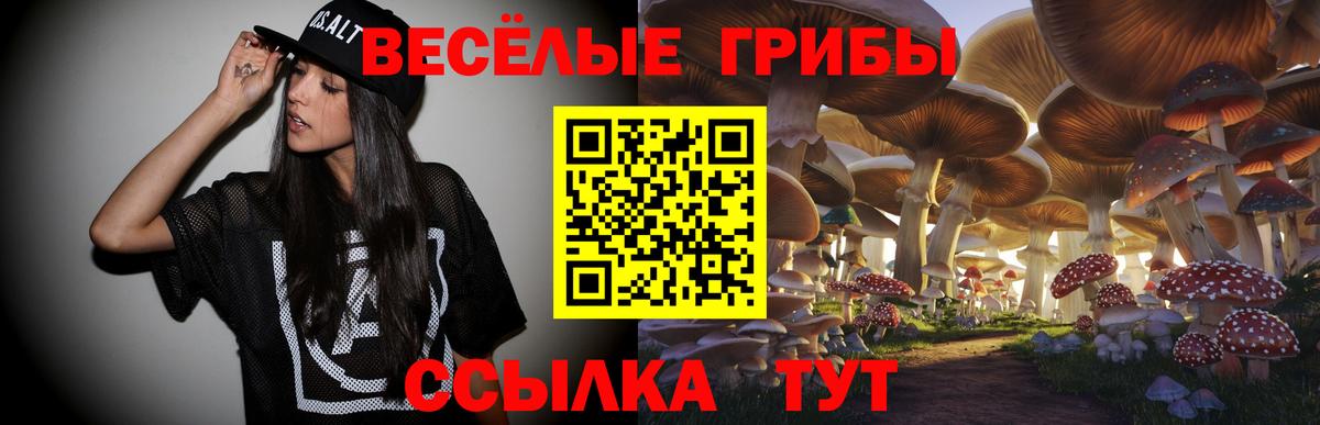 Псилоцибиновые грибы MAGIC MUSHROOMS Славгород